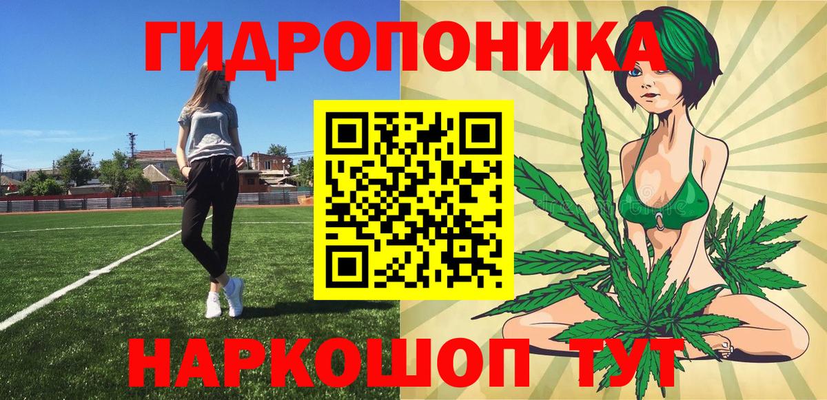 МАРИХУАНА планчик Ноябрьск